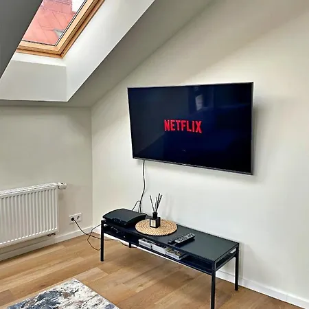 Apartment Loft 1 Bd Old Town By Hostlovers Kaunas