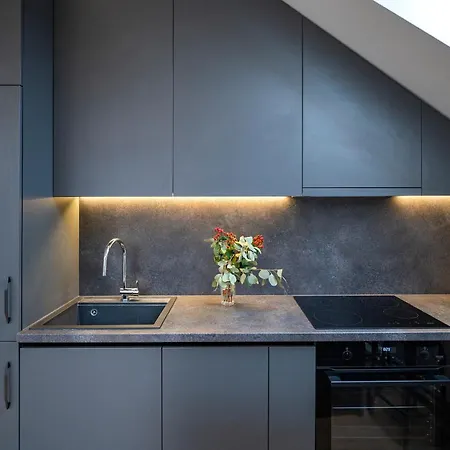 Loft 1 Bd Old Town By Hostlovers Apartment Kaunas